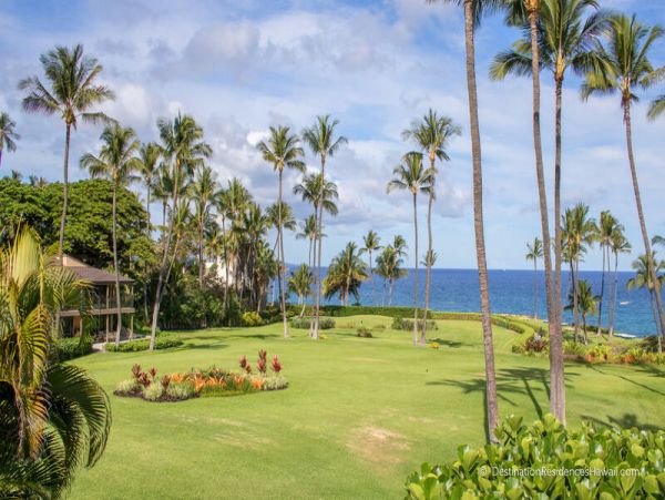 Wailea Condo 969032