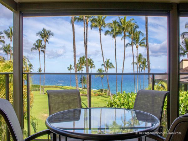 Wailea Condo 969032