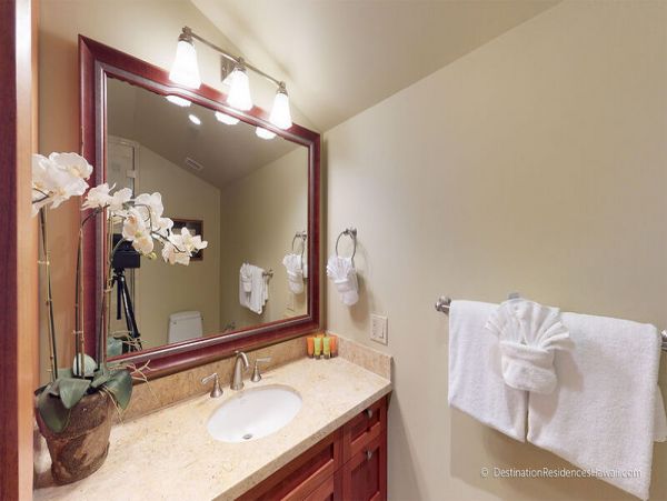 Wailea Condo 969032