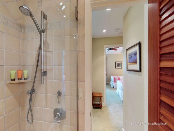 Wailea Condo 969032
