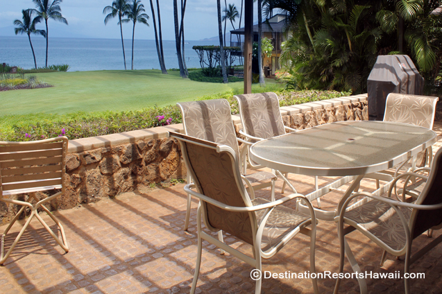 Wailea Condo 969033