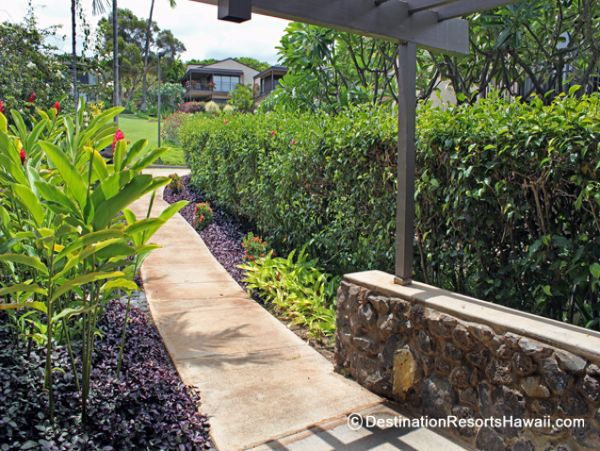 Wailea Condo 969033