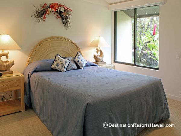 Wailea Condo 969033