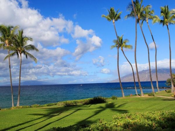 Wailea Condo 969034
