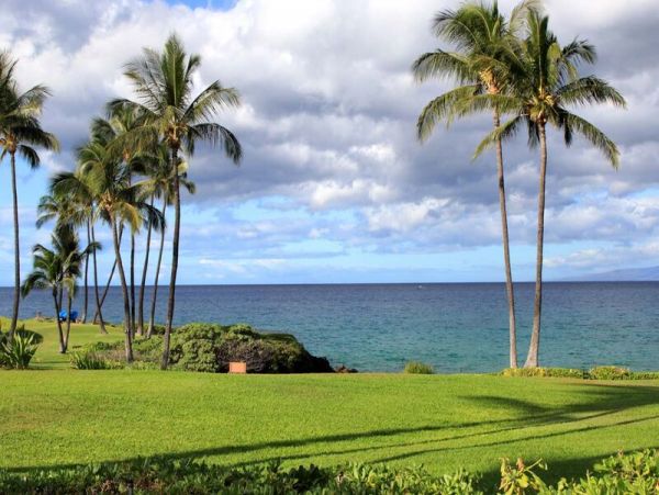 Wailea Condo 969034