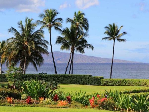 Wailea Condo 969034