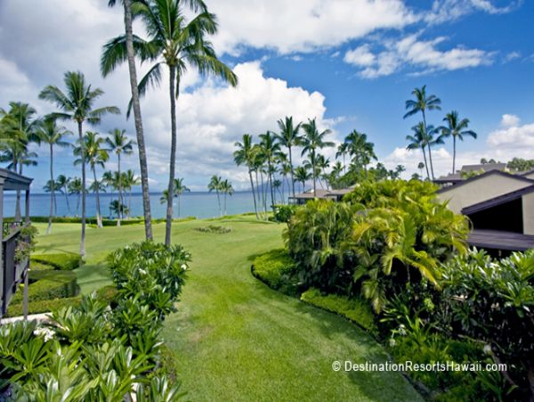 Wailea Condo 969036