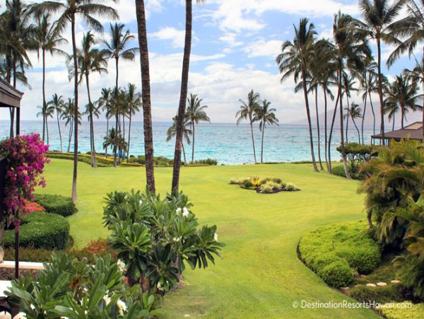 Wailea Condo 969036