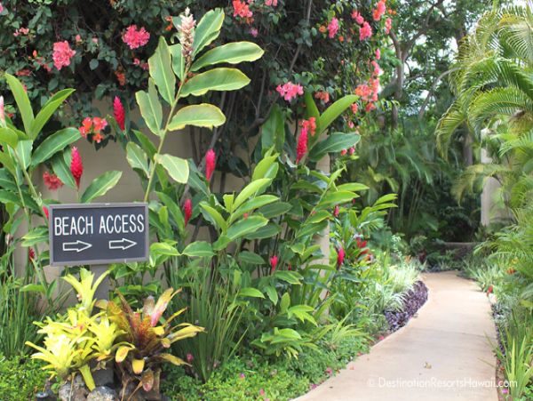 Wailea Condo 969036