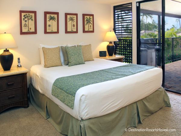 Wailea Condo 969036