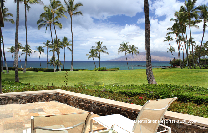Wailea Condo 969038