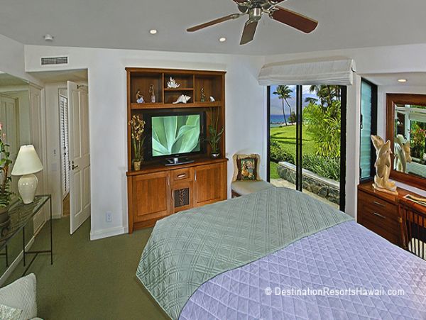 Wailea Condo 969038