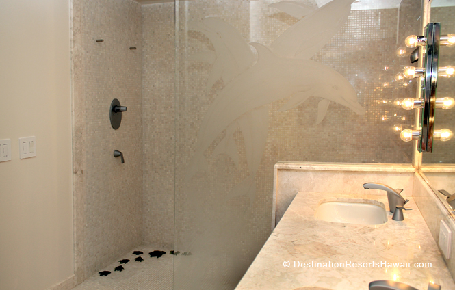 Wailea Condo 969038