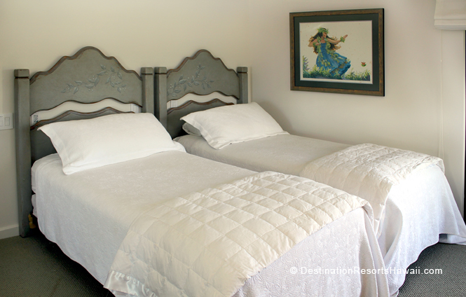 Wailea Condo 969038