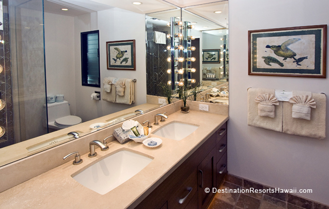 Wailea Condo 969038