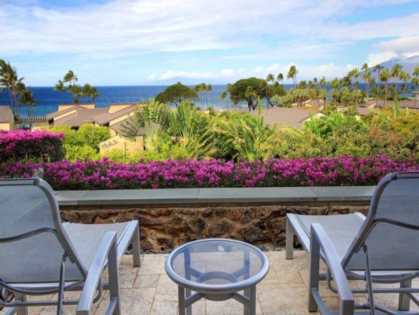 Wailea Condo 969039