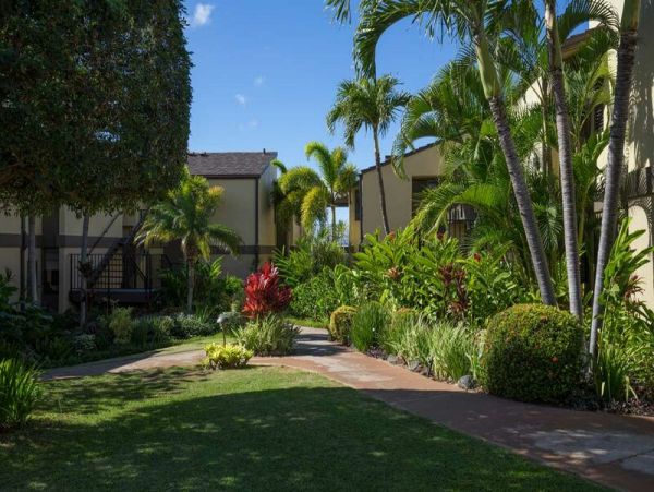 Wailea Condo 969040