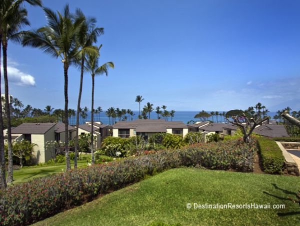 Wailea Condo 969041