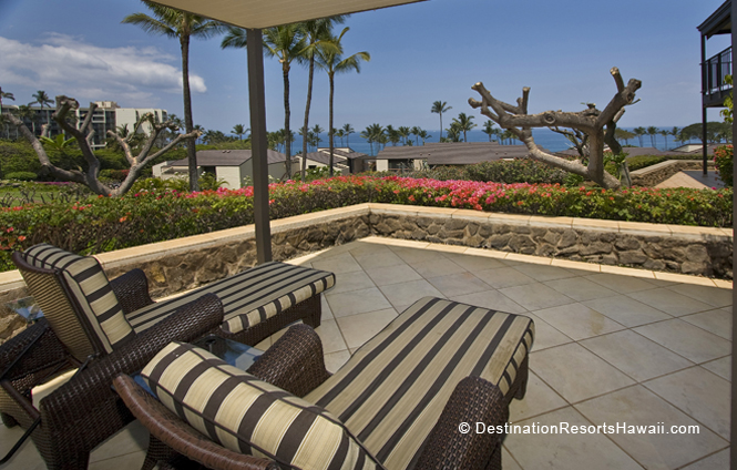 Wailea Condo 969041