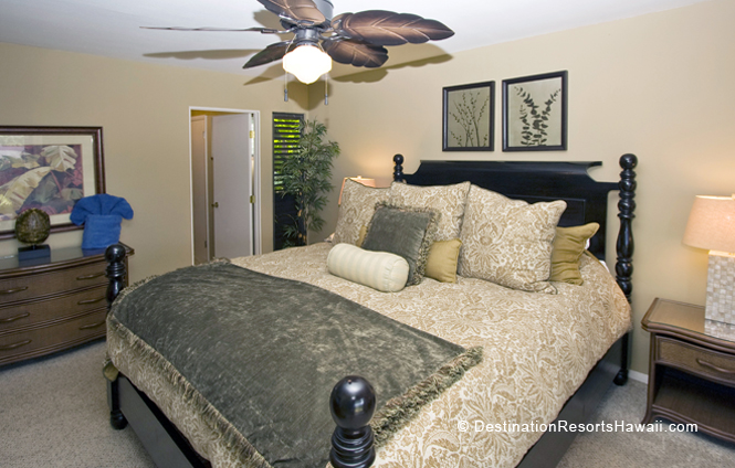 Wailea Condo 969041