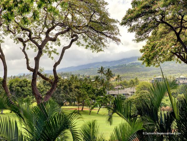 Wailea Condo 969042