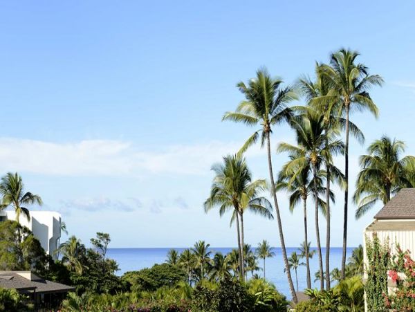 Wailea Condo 969043