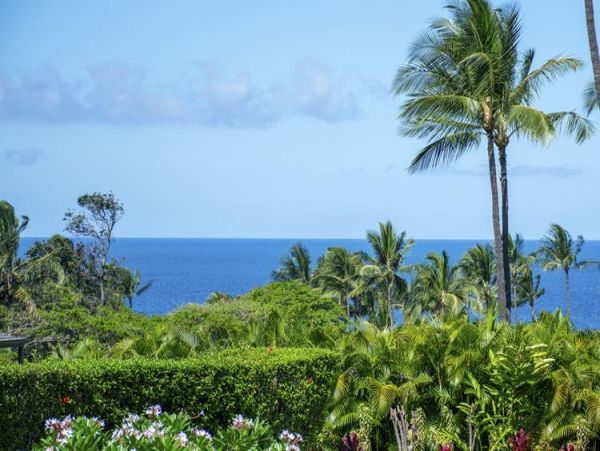 Wailea Condo 969043