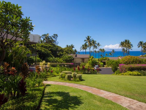 Wailea Condo 969044