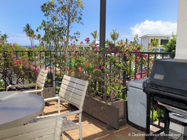 Wailea Condo 969047