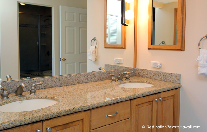 Wailea Condo 969047