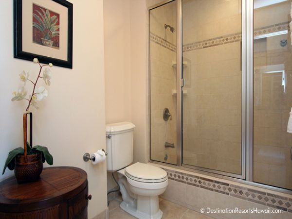 Wailea Condo 969047