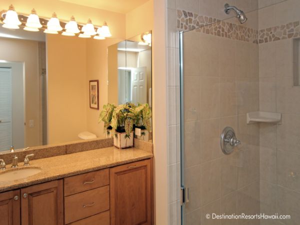 Wailea Condo 969047