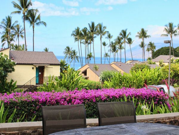 Wailea Condo 969049