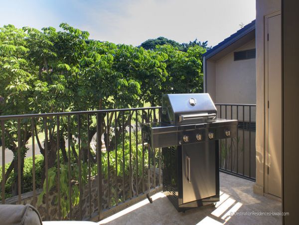 Wailea Condo 969050
