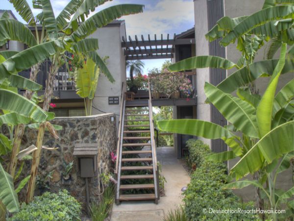 Wailea Condo 969051
