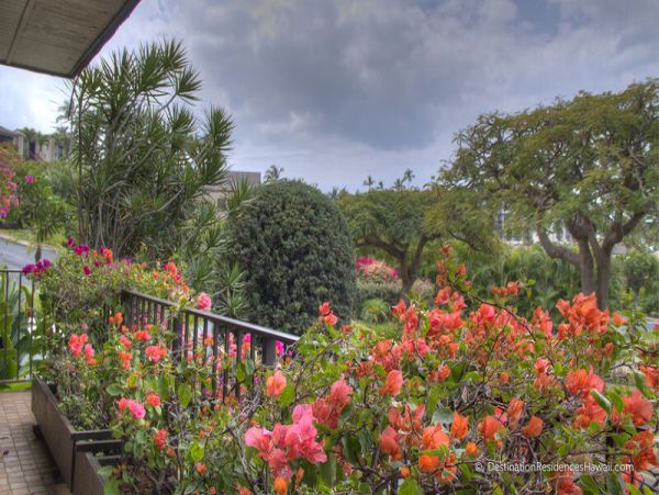 Wailea Condo 969051