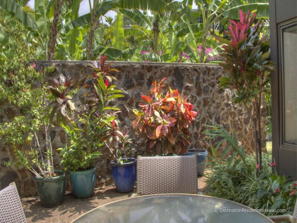 Wailea Condo 969051