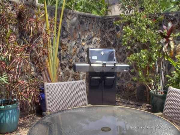 Wailea Condo 969051
