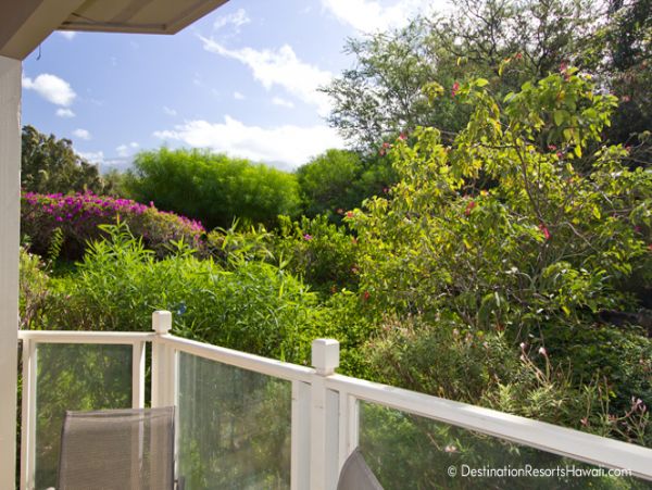 Wailea Home 969059