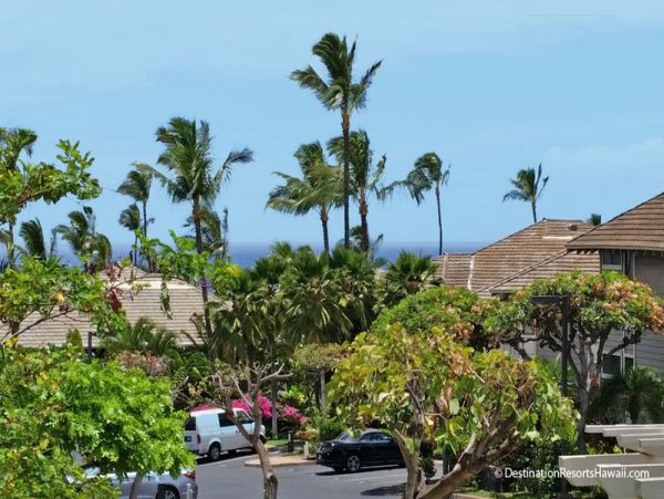 Wailea Condo 969060
