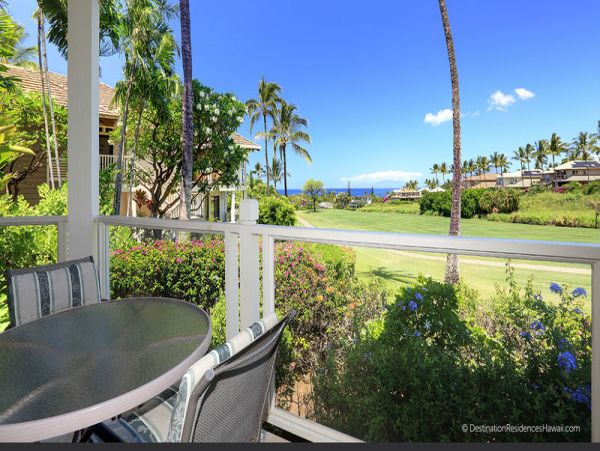 Wailea Condo 969061