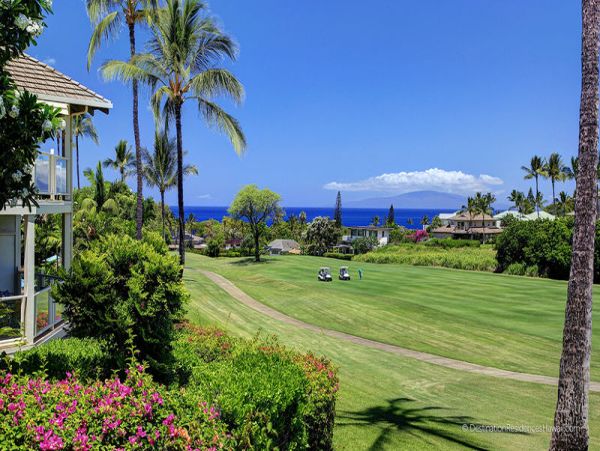 Wailea Condo 969061
