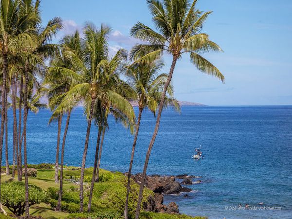 Wailea Condo 969062