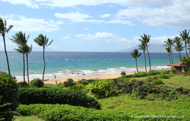 Wailea Condo 969064