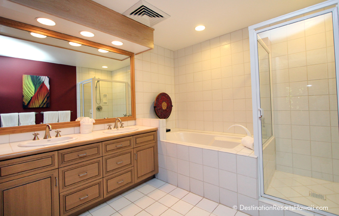 Wailea Condo 969064