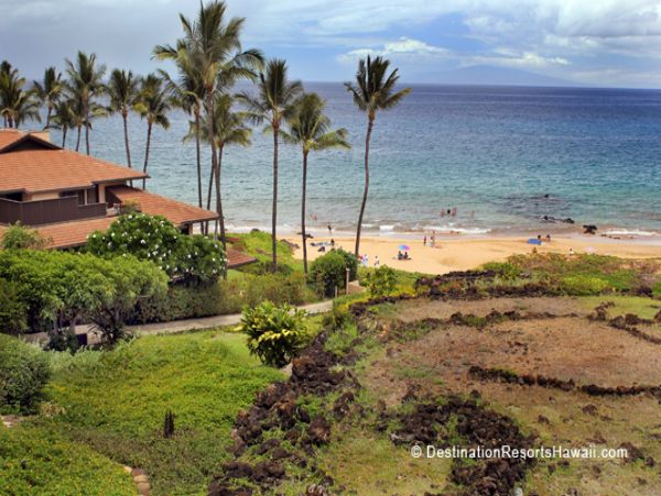 Wailea Condo 969065