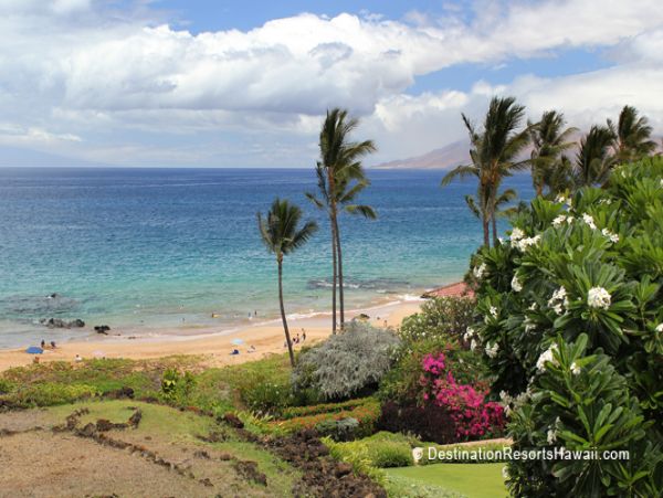 Wailea Condo 969065