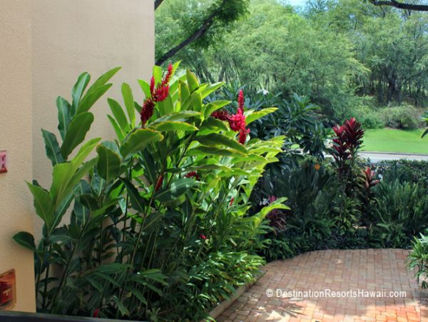 Wailea Condo 969065
