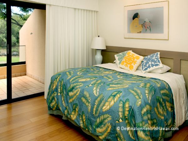 Wailea Condo 969065