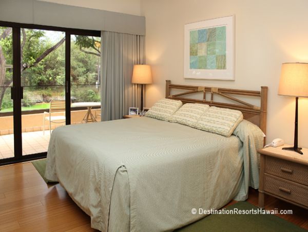 Wailea Condo 969065